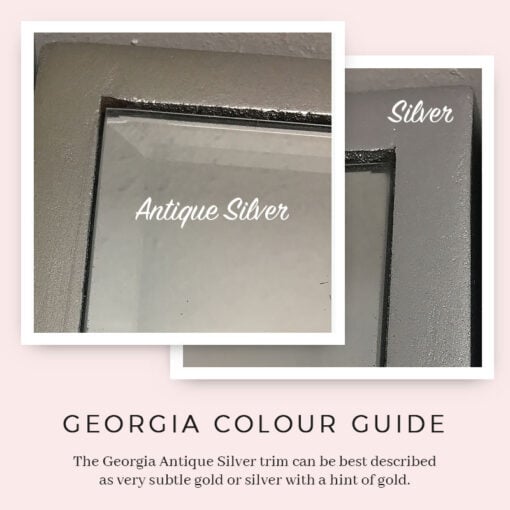 Georgia Antique Silver Mirrored 5 Drawer 1 Door Cabinet