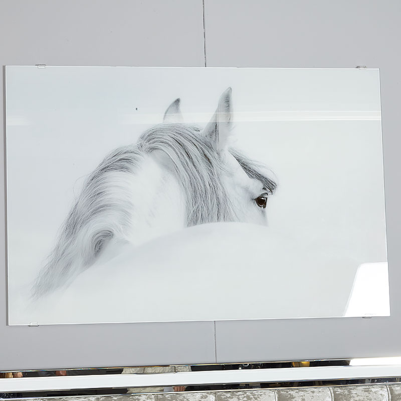 Large White Grey Horse Tempered Glass Wall Art Print Picture Perfect Home - Large Tempered Glass Wall Art