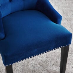 Isabella Blue Velvet And Black Wood Dining Chair With Lion Knocker