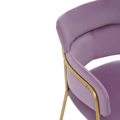 Set Of 2 Blaine Scoop Curved Back Pink Velvet Tub Dining Chairs With Gold Legs