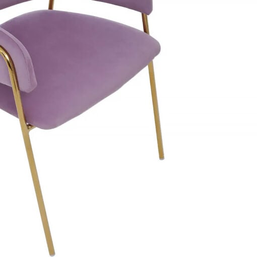 Set Of 2 Blaine Scoop Curved Back Pink Velvet Tub Dining Chairs With Gold Legs