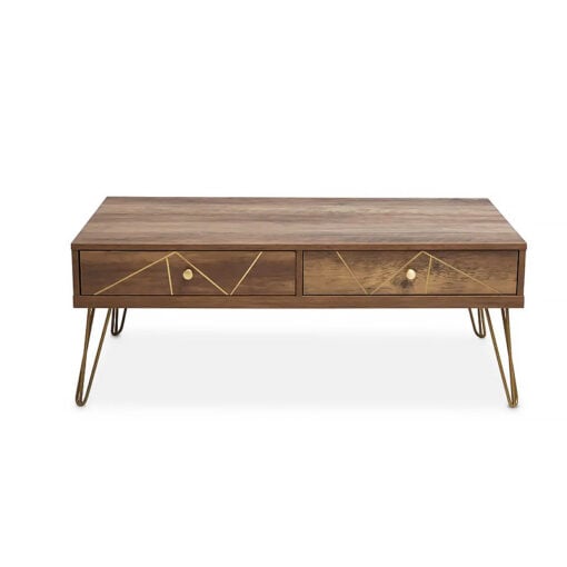 Art Deco Boho Brown Wood And Gold Metal 2 Storage Drawer Coffee Table