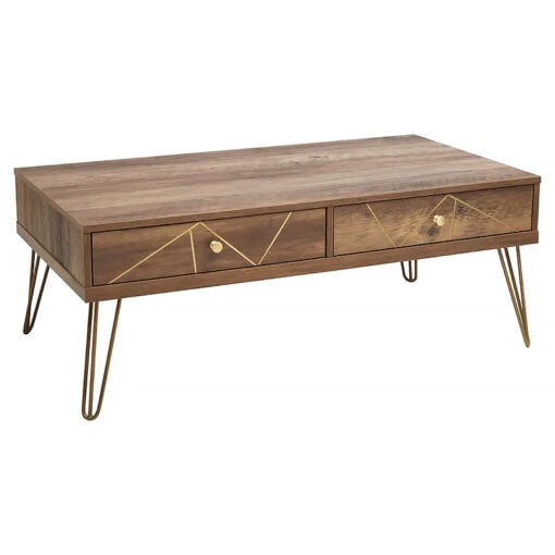 Art Deco Boho Brown Wood And Gold Metal 2 Storage Drawer Coffee Table