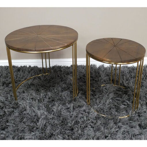 Boho Set Of 2 Nesting Gold Metal Side Tables With Mango Wood Tops