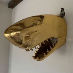 Gold Aluminium Metal Shark Head Quirky Animal Wall Lamp Light 38cm