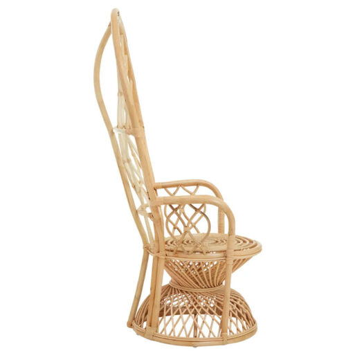 Boho Natural Rattan Peacock Armchair Accent Chair Statement Chair