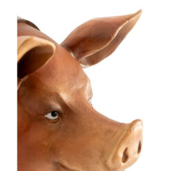 Large Novelty Pig Head Wall Mount With Neck Bell Wall Decor 40cm Large Novelty Pig Head Wall Mount With Neck Bell Wall Decor 40cm