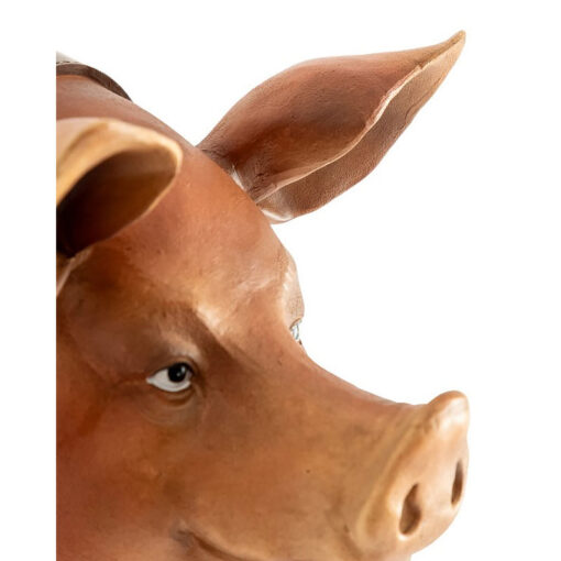 Large Novelty Pig Head Wall Mount With Neck Bell Wall Decor 40cm Large Novelty Pig Head Wall Mount With Neck Bell Wall Decor 40cm