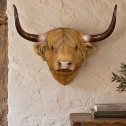 Large Wall Mounted Resin Highland Cow Head With Horns Sculpture Wall Art 51cm