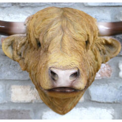 Large Wall Mounted Resin Highland Cow Head With Horns Sculpture Wall Art 51cm