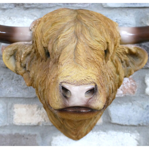 Large Wall Mounted Resin Highland Cow Head With Horns Sculpture Wall Art 51cm